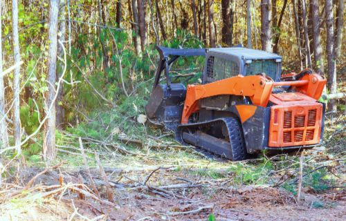 land clearing service company in houston tx 057